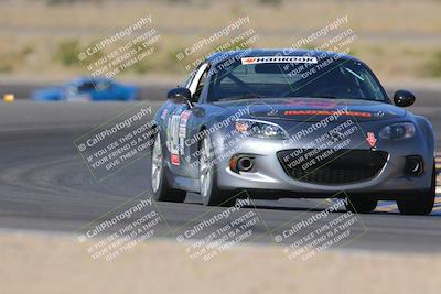 media/Oct-15-2023-Lucky Dog Racing Chuckwalla (Sun) [[f659570f60]]/1st Stint Turn 11/
